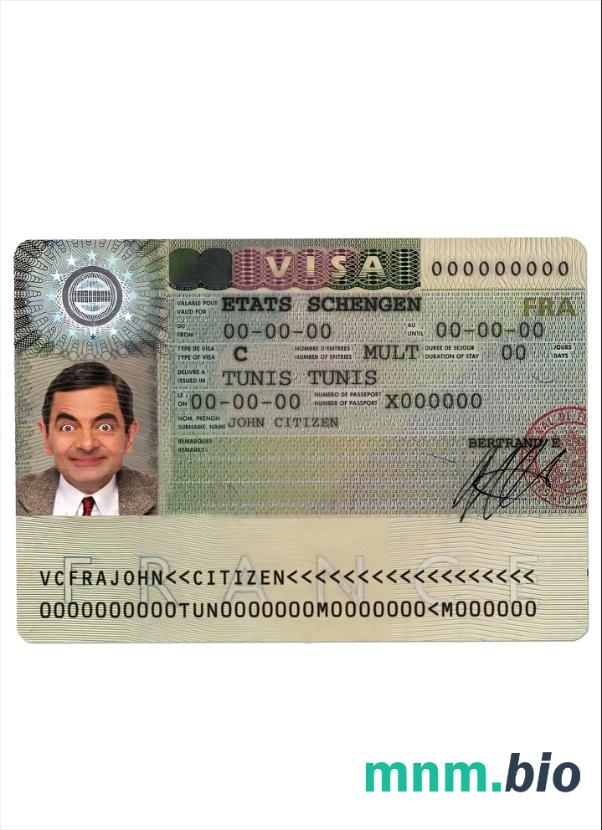 Francja wiza schengen w pełni edytowalna PSD